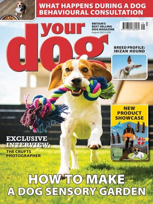 Your Dog - Magazine